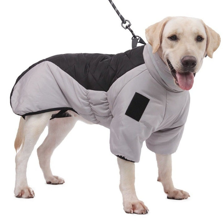 Waterproof Winter Coat for Dogs