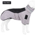 Waterproof Winter Coat for Dogs